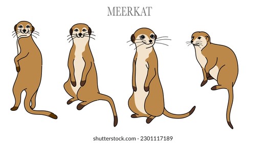 doodle style hand drawn  The vector set cartoon meerkat in many poses