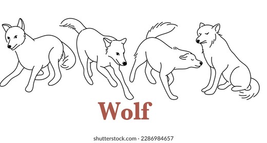 doodle style hand drawn, Wolves wild animals set of vector illustrations. Canis lupus. A dangerous mammal animal. Forest creature with dark fur. A character in various poses of cartoon design.