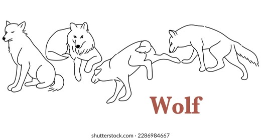 doodle style hand drawn, Wolves wild animals set of vector illustrations. Canis lupus. A dangerous mammal animal. Forest creature with dark fur. A character in various poses of cartoon design.