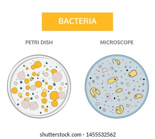 Doodle style, handdrawn drawing. Medical flat concept. Colorful colonies of bacteria in a glass Petri dish and colorful yellow bacteria with a blue nucleus on a blue background under a microscope.