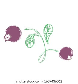 Doodle style, hand-drawn,  tree twigs with color black  berries. Berry brush isolated on a white background. hand-drawn design element, quick sketch, 