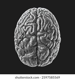 Doodle style human brain drawing illustration