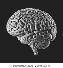 Doodle style human brain drawing illustration