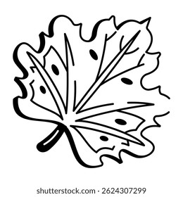 A doodle style icon of maple leaf 
