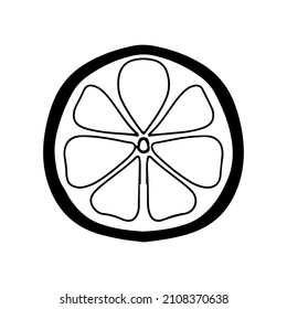 Doodle style lemon or orange slice. Vector illustration isolated on a white background.