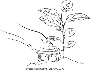 Doodle style line drawing hands of the farmer are planting and watering plant into the soil. Using hands to water the plant. Agriculture ecology concept. nature concept vector. 