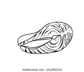 Carne de pescado rojo estilo Doodle, salmón. Ilustración vectorial plana aislada en fondo blanco.