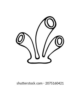 Doodle style sea coral reef. Invertebrates are an animal of the seabed. Coral polyp skeleton. Aquarium decor. Algae of the ocean. Hand drawn thin line art vector illustration. Isolated simple element.
