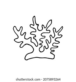 Doodle style sea coral reef. Invertebrates are an animal of the seabed. Coral polyp skeleton. Aquarium decor. Algae of the ocean. Hand drawn thin line art vector illustration. Isolated simple element.