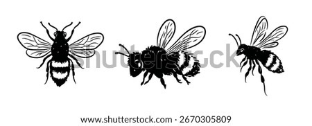 Doodle style set of minimalist bees. Hand drawn black and white collection of cute honey bees, flying, sitting. Vector illustration for pattern, logo, nursery decor.
