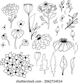Doodle style. Set of simple vector stylized plant elements. Flowers, petals, twigs and leaves. Monochrone, hand-drawn vector, strokes, dots.