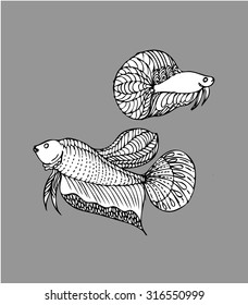 doodle style, Siamese fighting fish vector