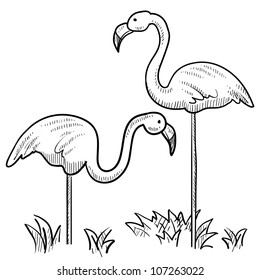 Doodle style sketch of two flamingo birds standing in the grass in vector illustration.