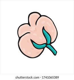 doodle style vector element, pattern, cute cotton flower, color