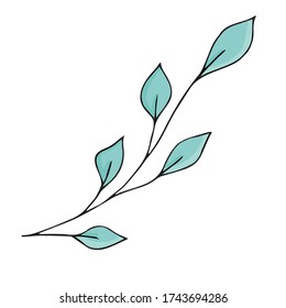 doodle style vector element, pattern, green cute twig with leaves, coloring book