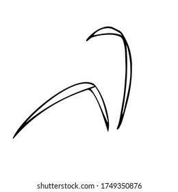 doodle style vector element, pattern, cute twig with leaves, coloring book