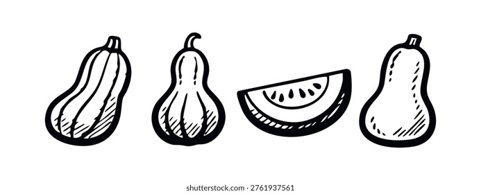 Doodle Style Vegetable and Fruit Slice Outline - Zucchini, Squashes, and Melon Graphic Element Set