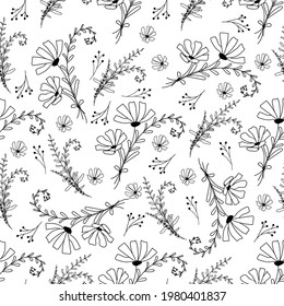 Doodle style wild flowers and herbs. Hand drawn elements. Herbal seamless pattern isolated on white background.