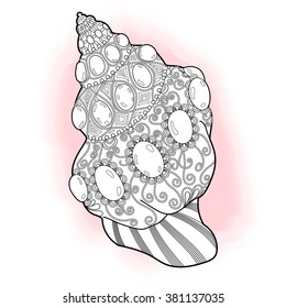 Doodle stylized sea cockleshell. Hand drawn aquatic vector illustration.
