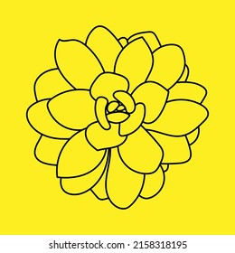 Doodle Succulent Flower. Desert flower for print and design, pattern. 