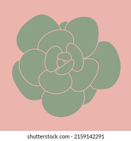 Doodle Succulent Flower. Desert flower for print and design. Modern pattern.