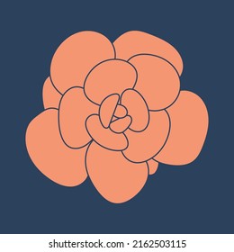 Doodle succulent flower. Desert flower for prints and designs. Modern wallpaper.