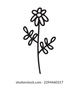 Doodle summer flower illustration. Vector daisy flower doodle