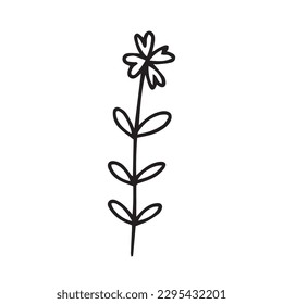 Doodle summer flower illustration. Vector daisy flower doodle