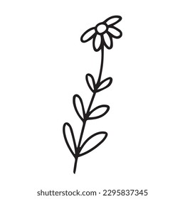 Doodle summer flower illustration. Vector daisy flower doodle