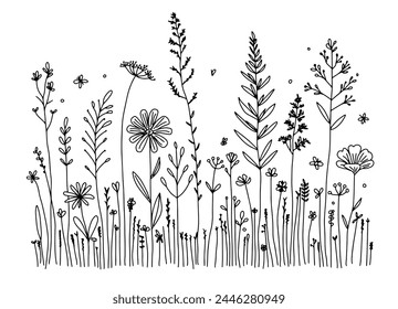 Doodle summer meadow flower, herbs, plants and insects vector boarder . Line art style blossom background.