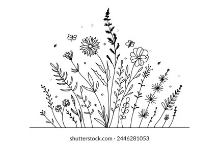 Doodle summer meadow flower, herbs, plants and insects vector boarder . Line art style blossom background.