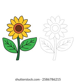 Doodle sunflower coloring pages for kids. Trace and color sunflower. Sunflower garden illustration. Flower tracing worksheet. Kindergarten and preschool activity. Sunflower clipart vector.