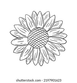 Doodle sunflower isolated on a white background. Hand drawn, simple outline illustration. It can be used for decoration of textile, paper.