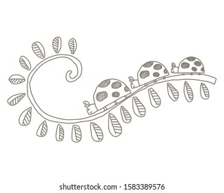 Doodle three ladybugs vector cartoon isolated on white background. Doodle ladybirds outline. 