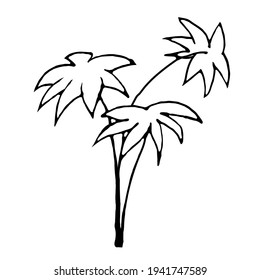 Doodle tres palmeras en un fondo blanco.SE PUEDEN UTILIZAR ÁRBOLES VECTORIALES EN DISEÑOS DE VERANO, TEXTILES Y POSTCARDS.