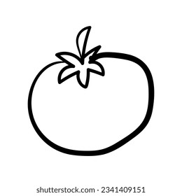 Doodle tomato. Hand drawn icon of vegetables