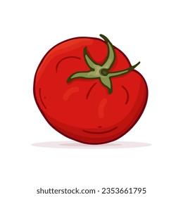 Tomate doodle aislado. Estilo de línea y color. Ilustración vectorial. Tema vegetal. Elemento de diseño para impresión, tarjetas, cubiertas, papel de envoltura, pancartas, tejidos, prendas textiles.