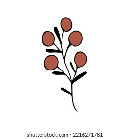 Rama de árbol de garbanzos con bayas rojas. elemento de diseño de árboles y naturaleza. imagen vectorial aislada
