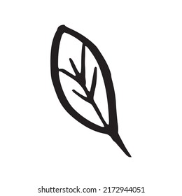 Doodle tree leaf. Fall art isolated on white. Vector illustration