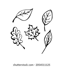 Doodle tree leaves. Hand drawn element for web design, stationery, poster, flyer, logo