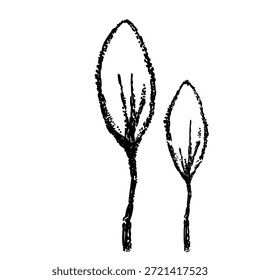 Doodle trees. Isolated black and white icons on white background. Spring tree for your design. Vector symbol sign. Plants, landscape design. Eco idea concept.