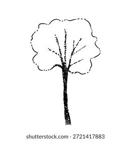 Árboles Doodle. Iconos aislados en blanco y negro sobre fondo blanco. Árbol de primavera para su diseño. Signo de símbolo de Vector. Plantas, diseño de paisajes. Concepto de idea ecológica.