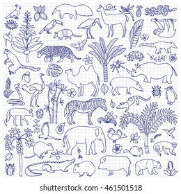 Doodle Tropic Forest Animals and Plants on squared paper