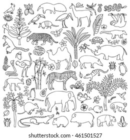 Doodle Tropic Forest Animals and Plants. Coloring page. Set of wildlife elements and objects
