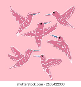 Doodle tropical hummingbirds pattern. Perfect for T-shirt, poster, greeting card and print. Hand drawn vector illustration for decor and design.
