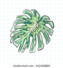 doodle tropical palm leaves vector