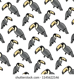 doodle tropical pelican bird animal background