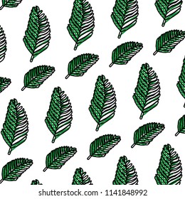 doodle tropical plan branch leaves background