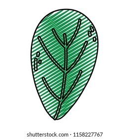 doodle tropical plant leaf nature style