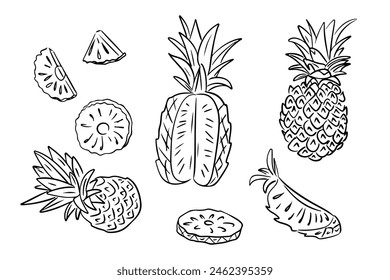 Doodle tropical summer pineapple drawings in hand drawn style. Monochrome vector contour sketchy illustration of pieces of sweet fruit on white background. Ideal for coloring pages, tattoo, pattern